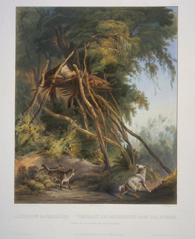 Tumbas de los Indios Assiniboin en Árboles de Karl Bodmer